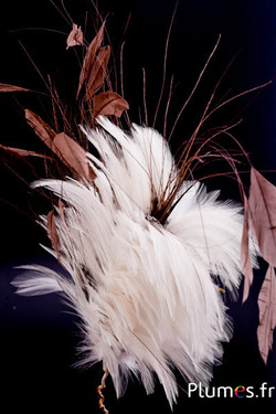 Plumet coq -  hauteur 30 cm - café-crème